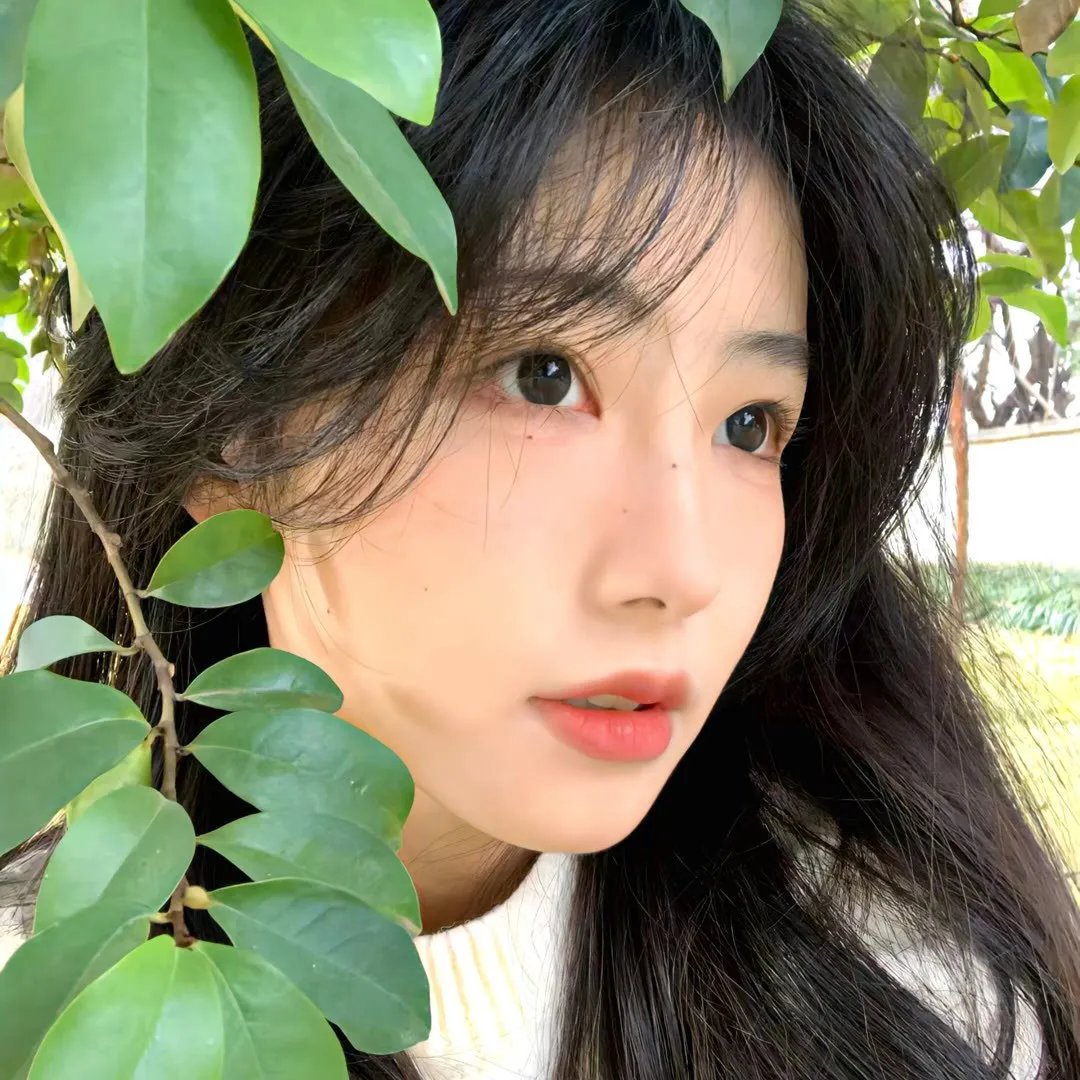 众星拱月 在线观看